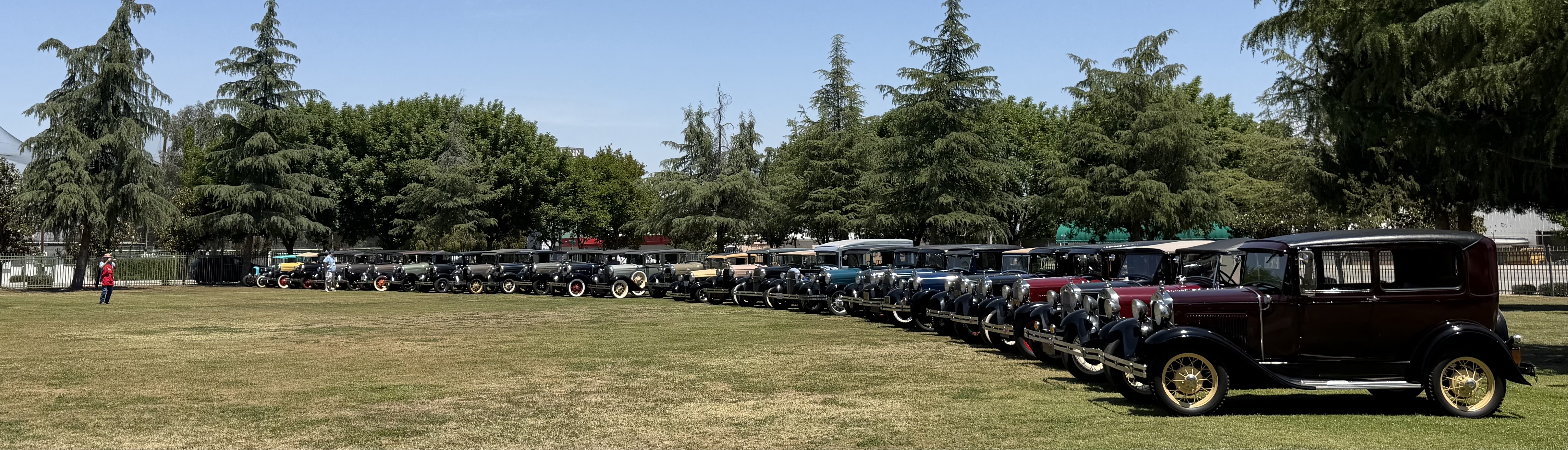 Model A Fords parked on a grassy field